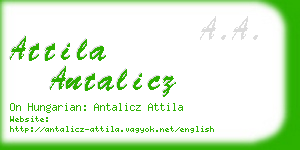 attila antalicz business card